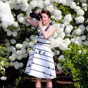 White A line midi dress | chicwish | size M